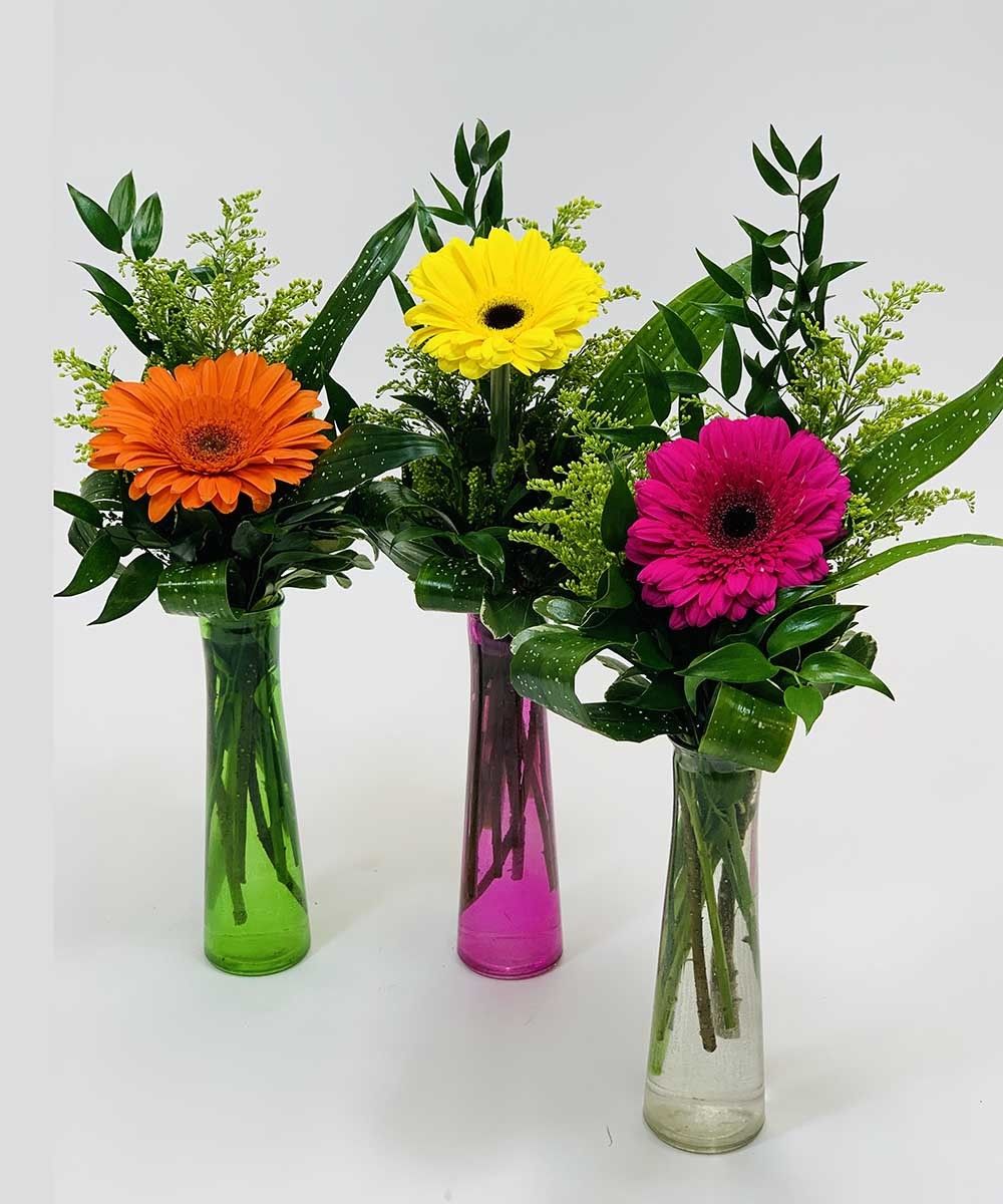 Three daisies in three vases