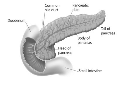 spec_mis_lap_liver_clip_image002.jpg