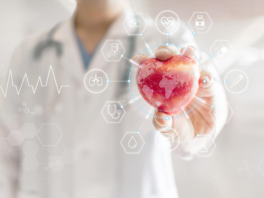 A vascular surgeon holding a heart