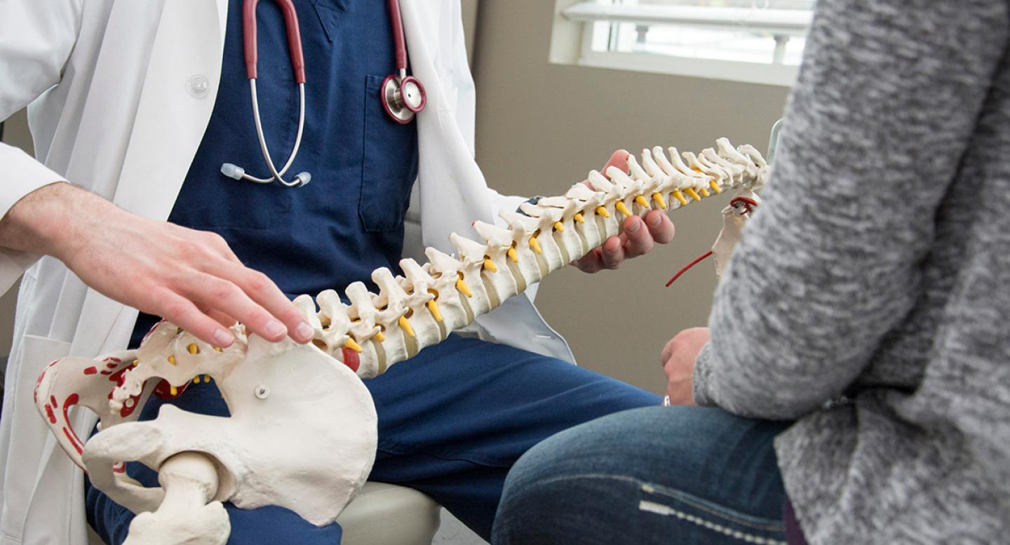 A doctor shows a patient a model of a skeleton