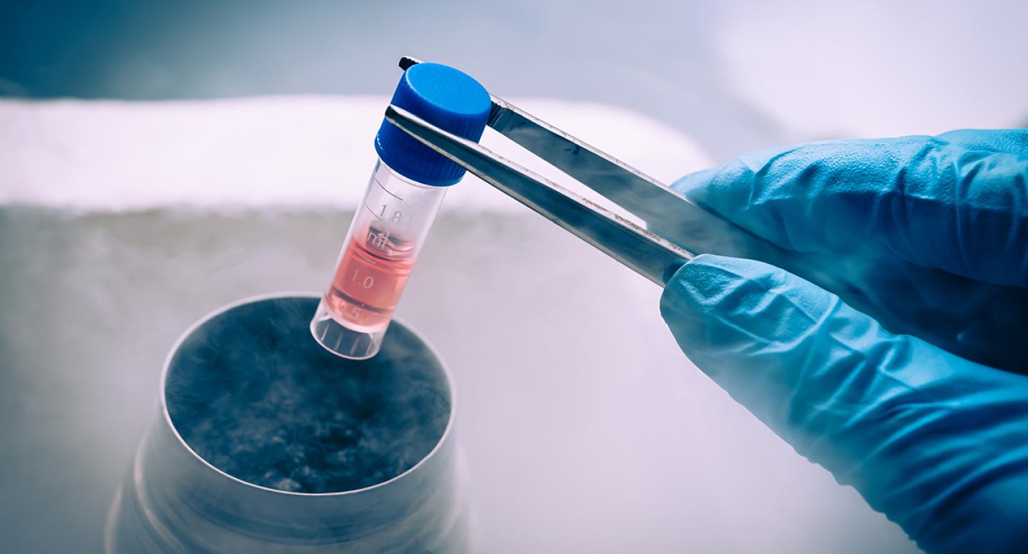 A lab tech drops a test tube into a freezer with tweezers