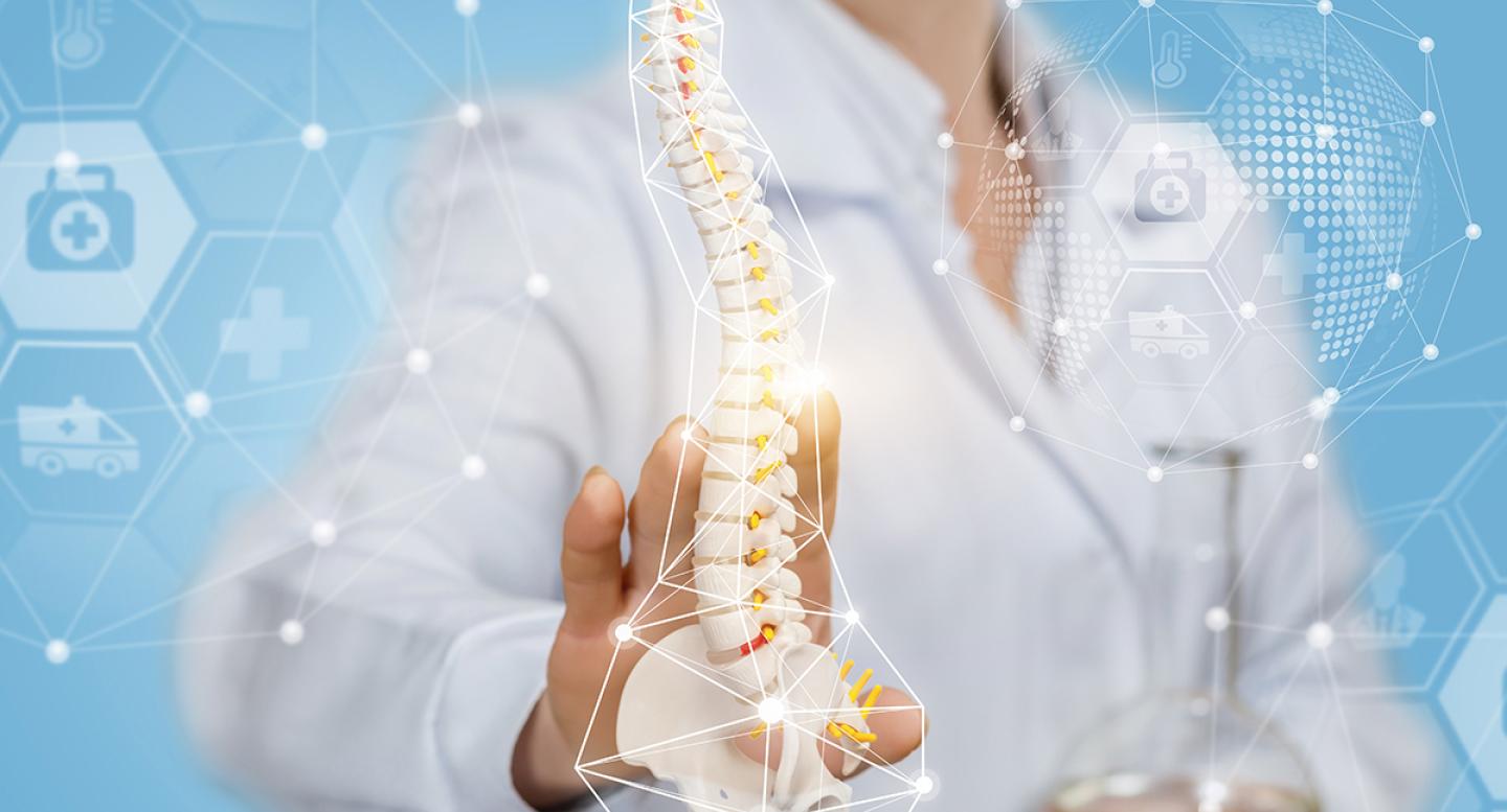 Medical professional points at spine skeleton osteoporosis concept