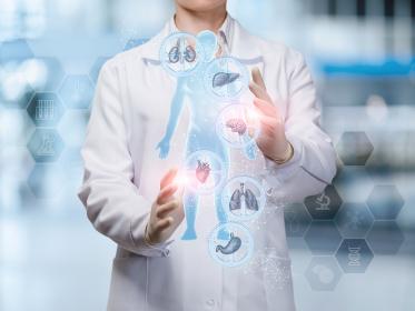 A doctor holds a graphic of a patient with internal organs depicted