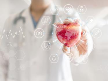 A vascular surgeon holding a heart