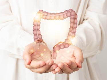 A woman doctor holds a graphic of the colorectal system