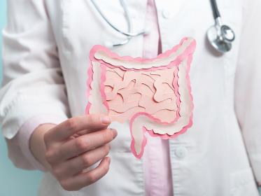 A woman doctor holds a paper cutout of the gastrointestinal system