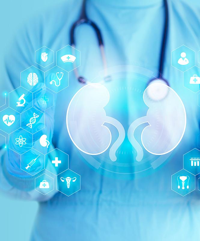 A doctor holding a graphic of kidneys surrounded by medical illustrations