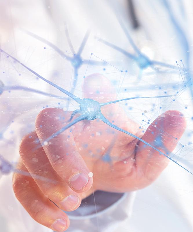 Doctor pointing at a digital representation of neurons