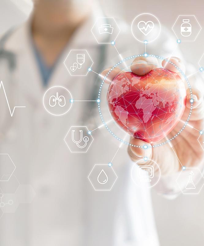 A vascular surgeon holding a heart