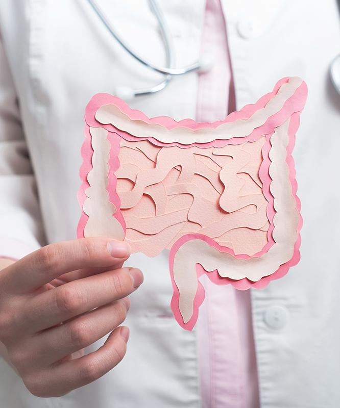 A woman doctor holds a paper cutout of the gastrointestinal system