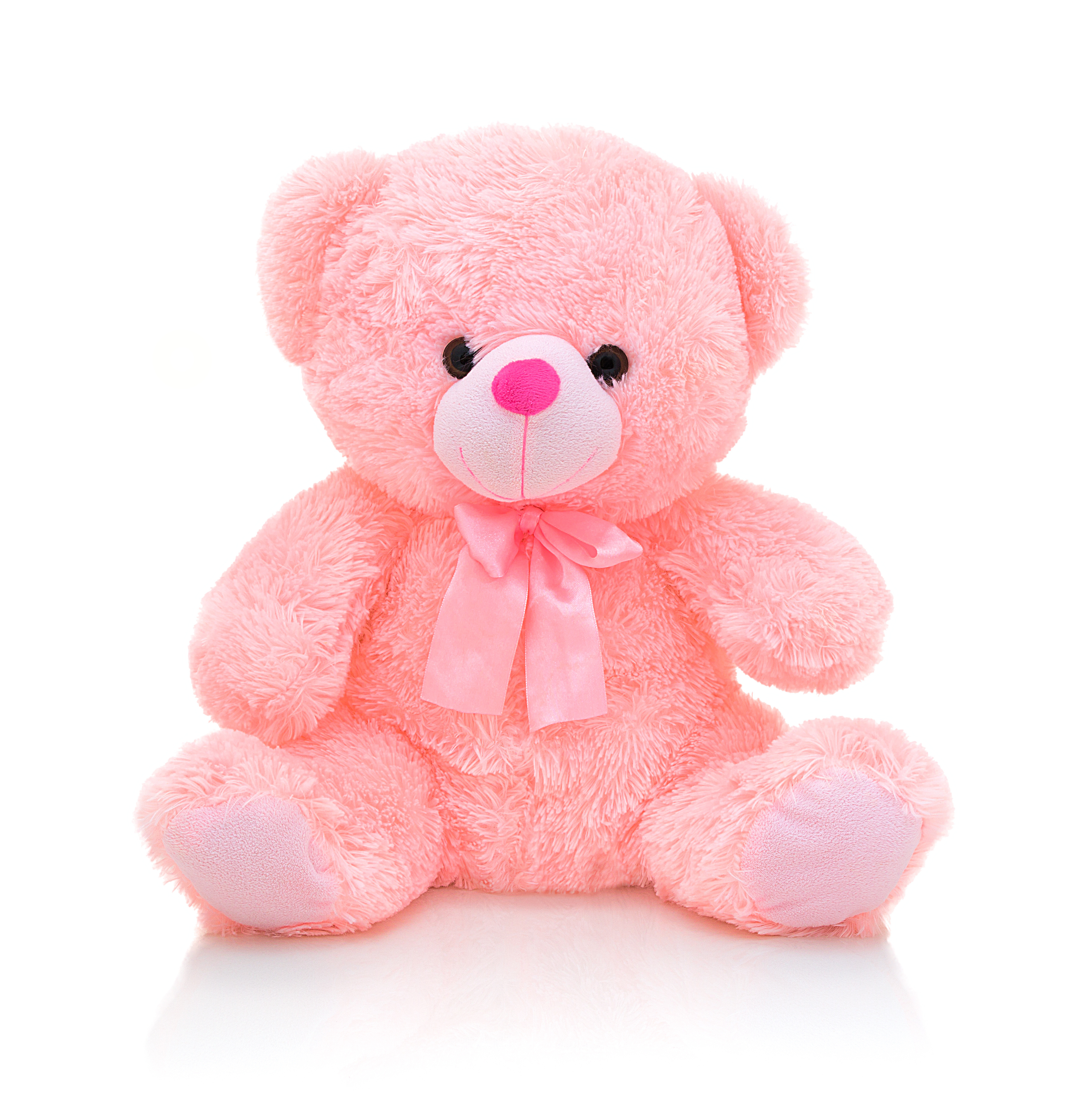  Pink  or Blue Teddy Bear  UTMC