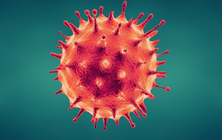Coronavirus (COVID-19) Information image